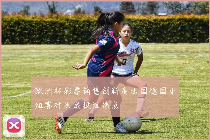 欧洲杯彩票销售创新高法国德国小组赛对决成投注热点