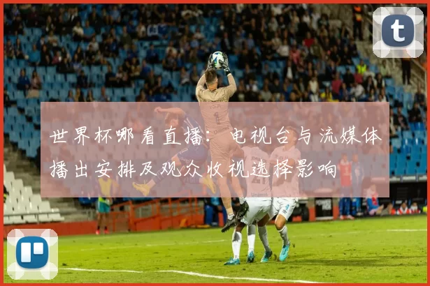 世界杯哪看直播：电视台与流媒体播出安排及观众收视选择影响