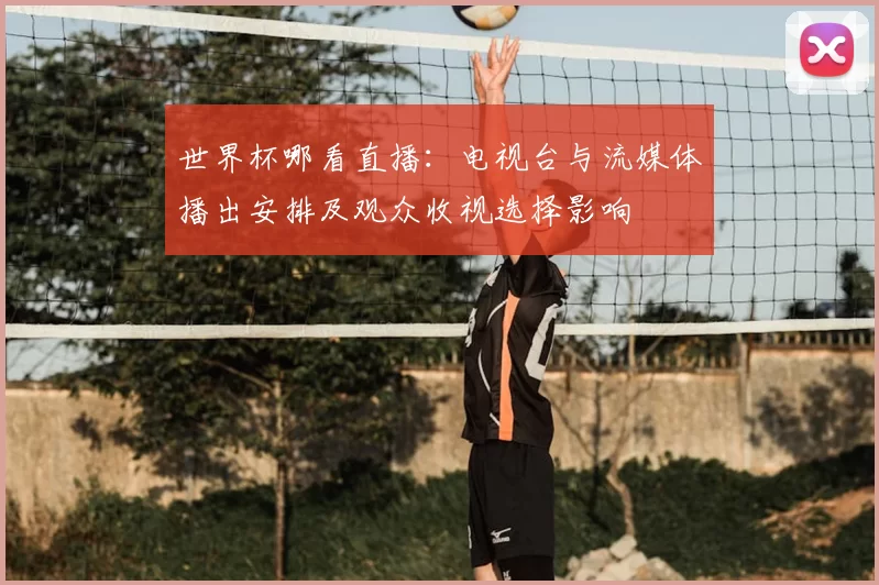 世界杯哪看直播：电视台与流媒体播出安排及观众收视选择影响